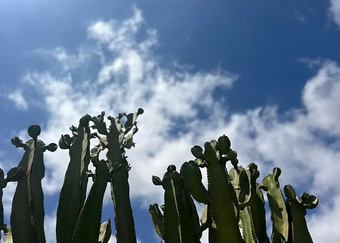 De Invitados Casa Lume דירה *