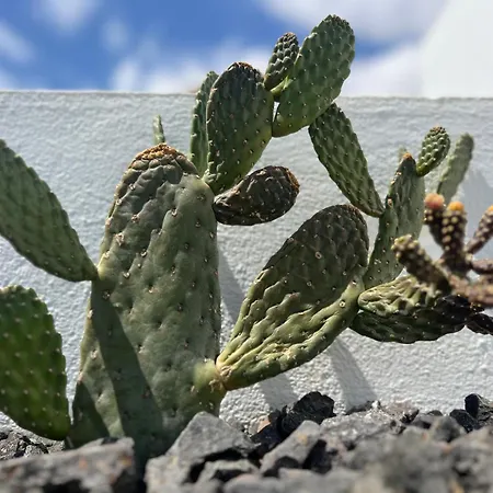 De Invitados Casa Lume Tahiche