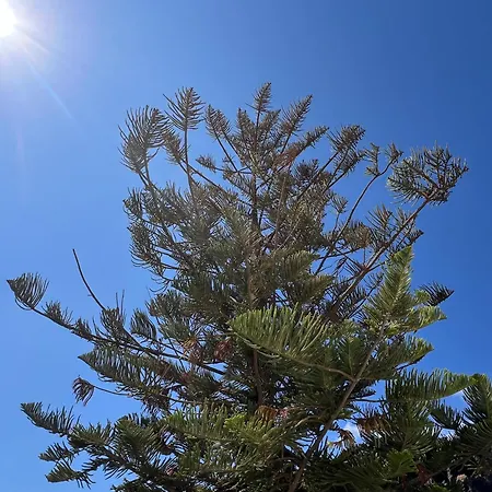 De Invitados Casa Lume