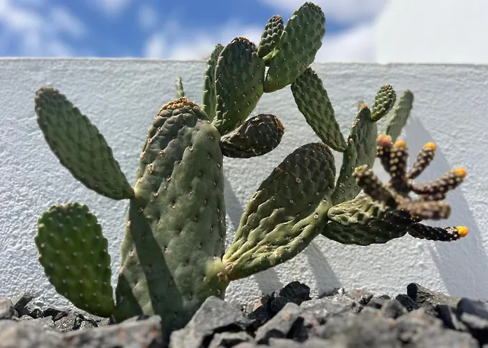 Habitación De Invitados Casa Lume Tahiche