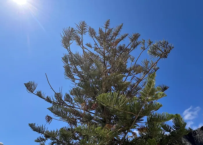 Habitación De Invitados Casa Lume